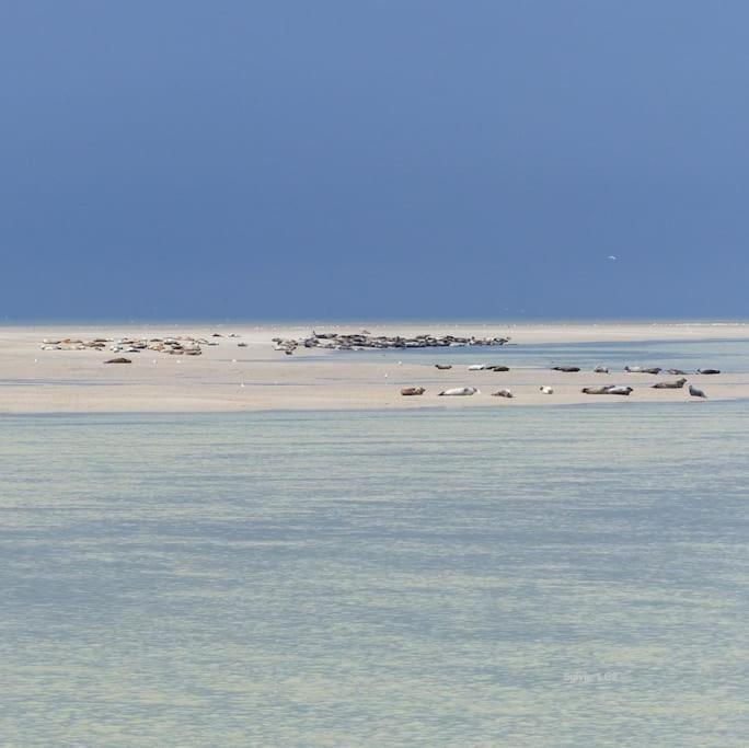 Vue Mer Berck Exteriör bild