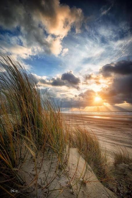 Vue Mer Berck Exteriör bild